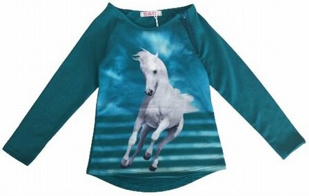 Shirt Paarden Petrol