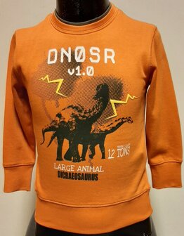 Sweater Oranje, maat 98