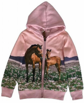 Paardenvest Roze