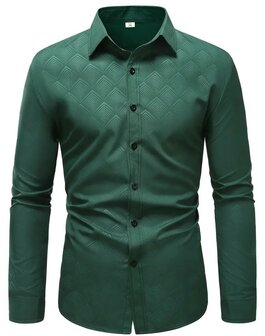 Blouse / overhemd Heren Groen