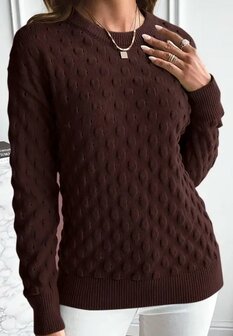 Trui of Pullover DONKERBRUIN