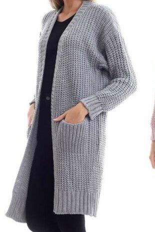 Lang Vest Dames Grijs