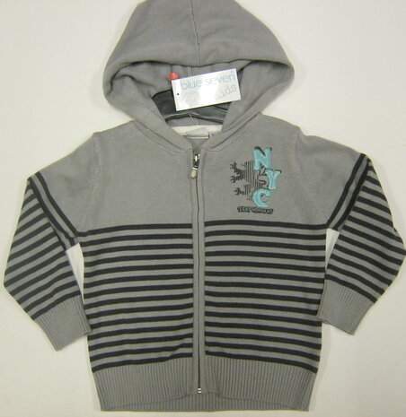 vest Jongens Grijs