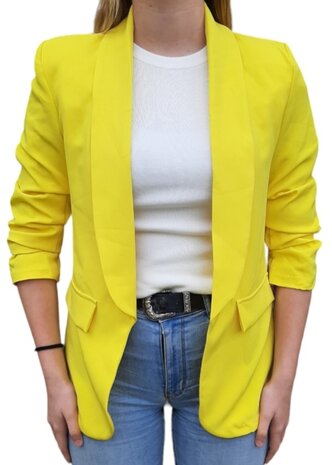 Colbert Dames Geel