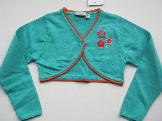 vestje Meisjes Groen