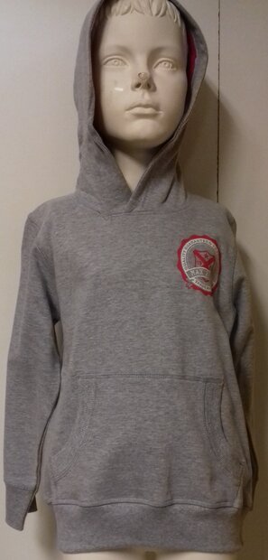 Sweater Jongens Grijs 