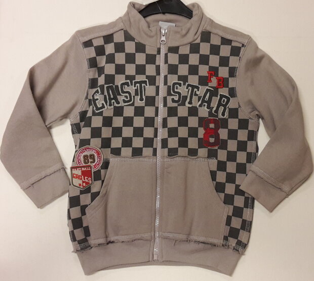 vest Jongens grijs, maat 110 