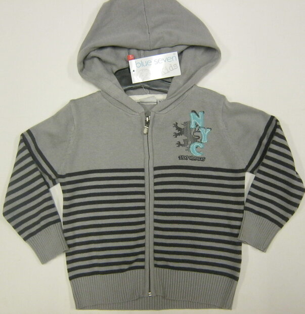 vest Jongens Grijs