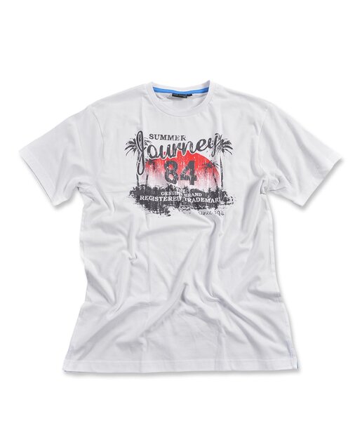 Tshirt Heren Wit, maat M