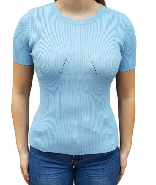 Tshirt Dames Lichtblauw