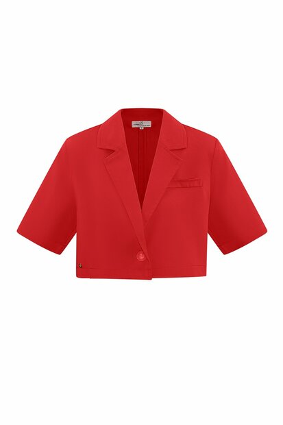 Pastel Basic Cropped Blazer ROOD