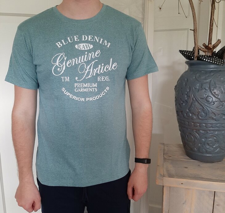 Blue Seven Tshirt Heren Mintgroen